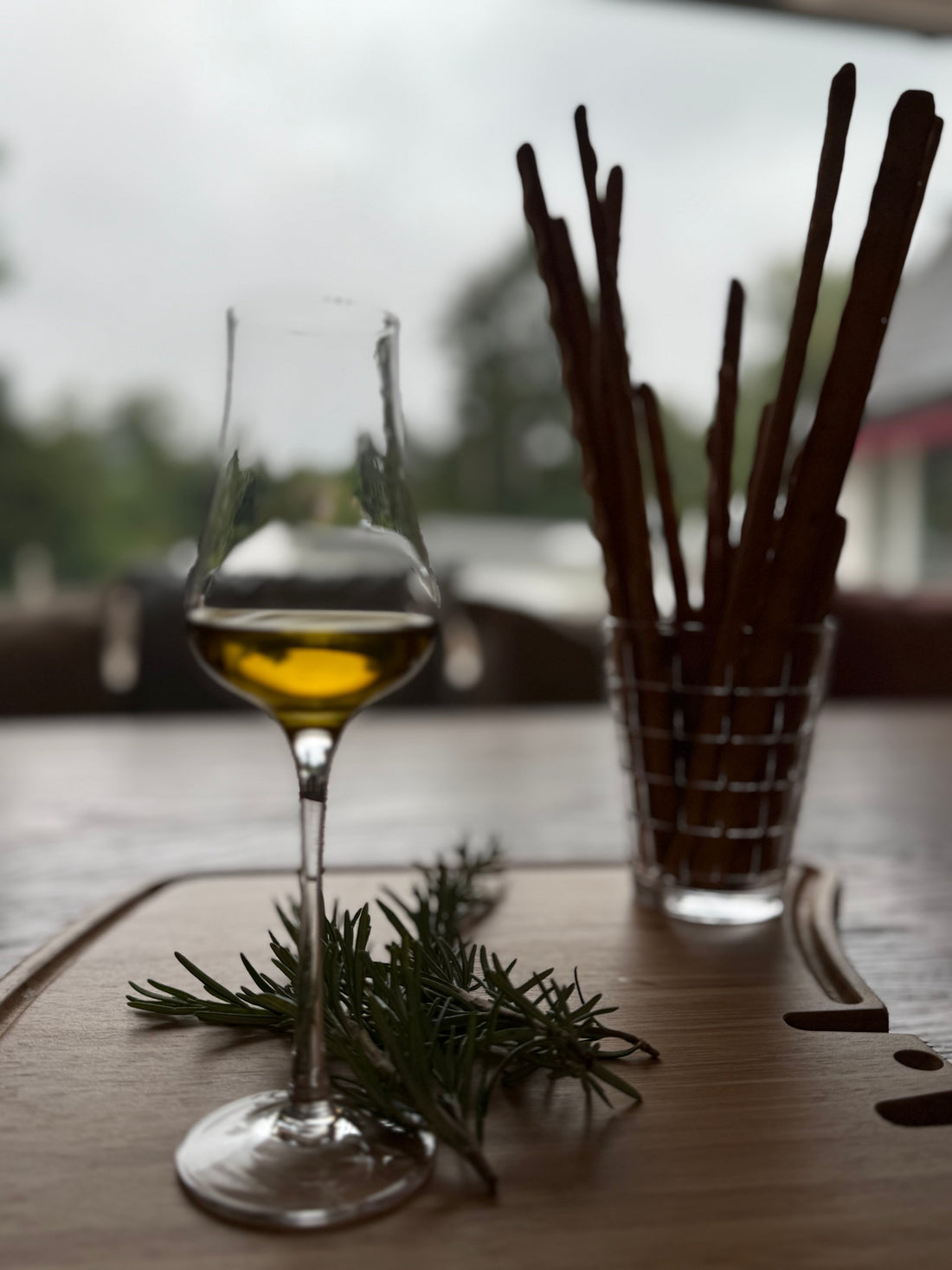 Frisches Olivenöl im Herbst – intensiv, gesund & aromatisch