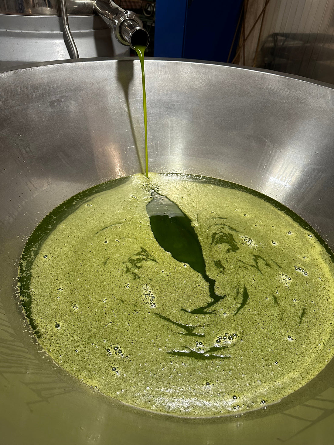 Die gesundheitlichen Vorteile von polyphenolreichem Olivenöl – das flüssige Wundermittel!